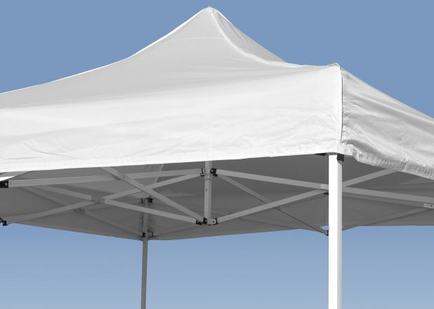 Carpa 2x2 Line