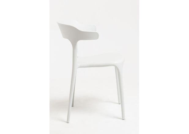 Silla Lute