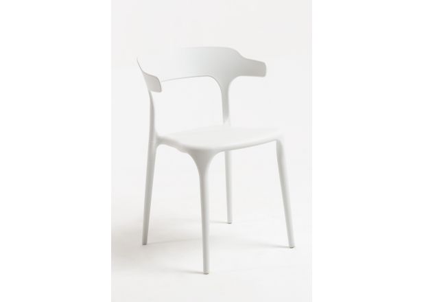 Silla Lute