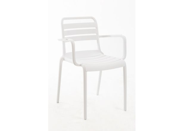 Silla Libia con Brazos