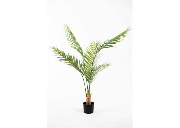 Planta Artificial Palmeira Piltu