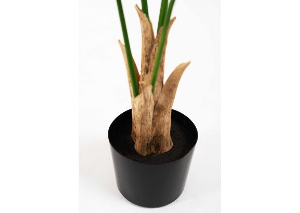 Planta Artificial Palmeira Piltu