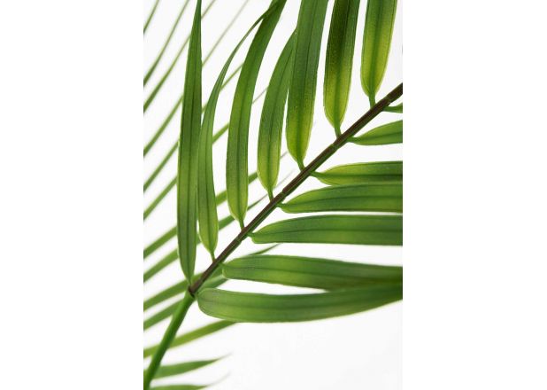 Planta Artificial Palmeira Piltu