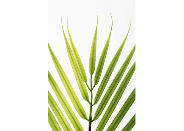 Planta Artificial Palmeira Piltu