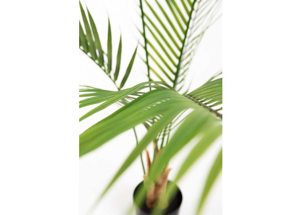 Planta Artificial Palmeira Piltu