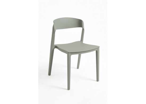 Silla Neshi