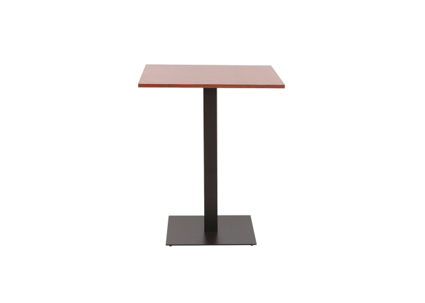 Mesa Lenpa