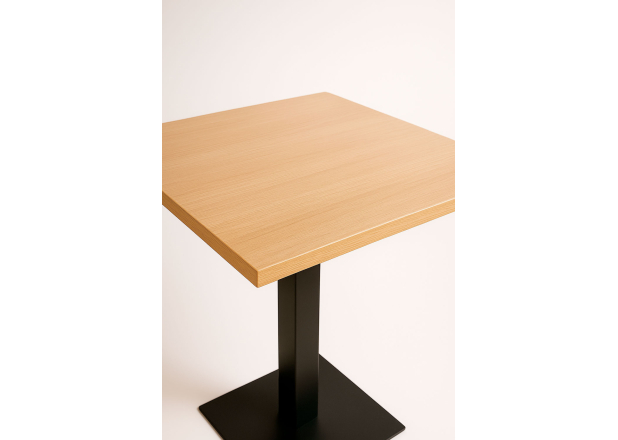Mesa Lenpa
