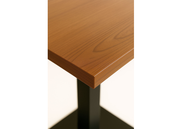Mesa Lenpa