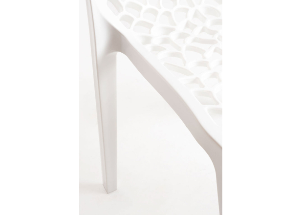 Silla Wortel