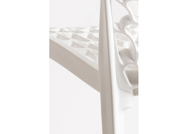Silla Wortel