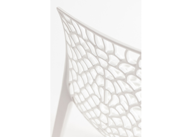 Silla Wortel