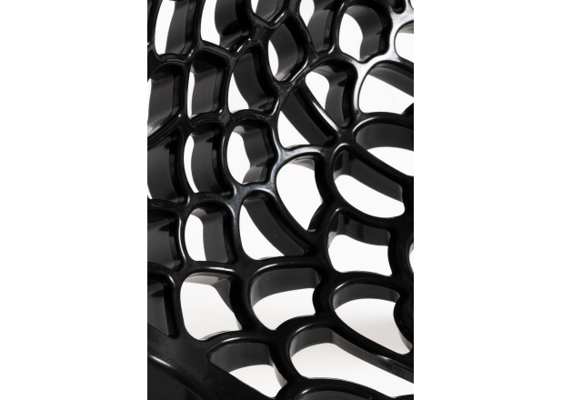 Silla Wortel