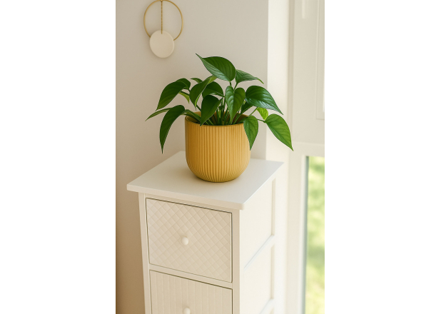 Cajonera Estrecha Toclyp 4 Cajones