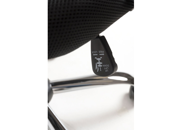 Silla Canvas