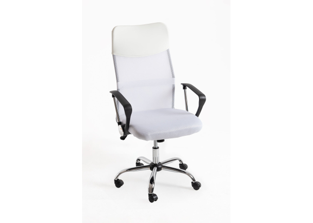 Silla Canvas