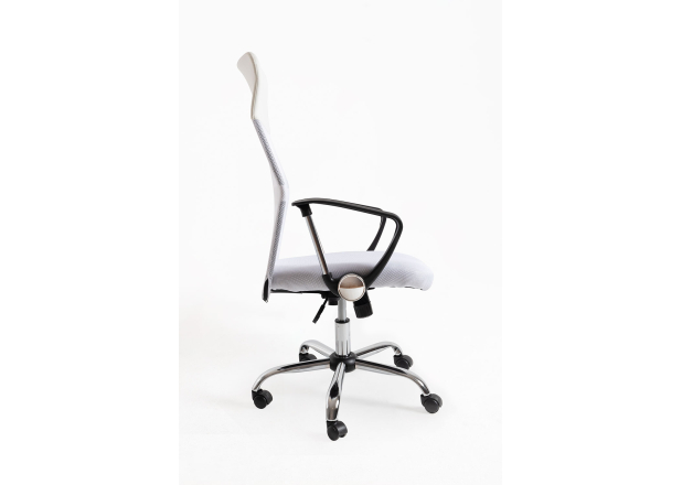 Silla Canvas