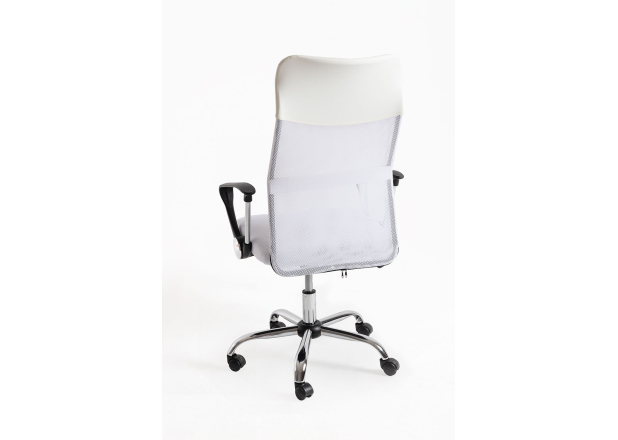 Silla Canvas