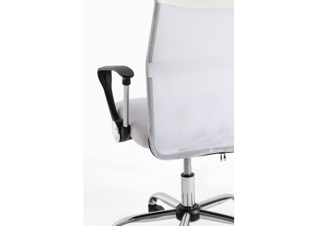 Silla Canvas