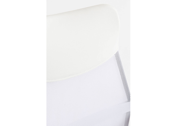 Cadeira Canvas