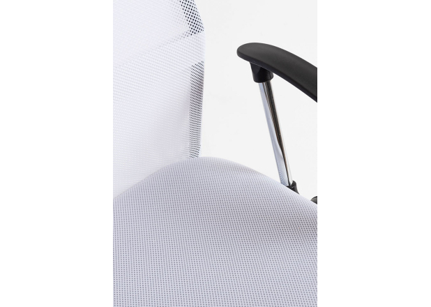 Silla Canvas