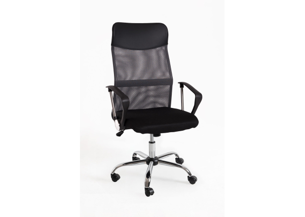 Silla Canvas