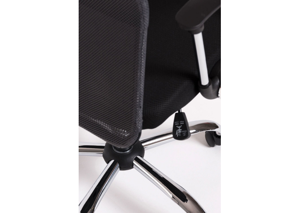 Silla Canvas