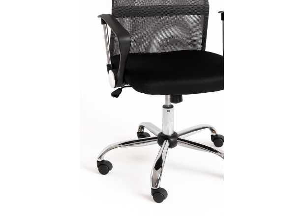 Silla Canvas
