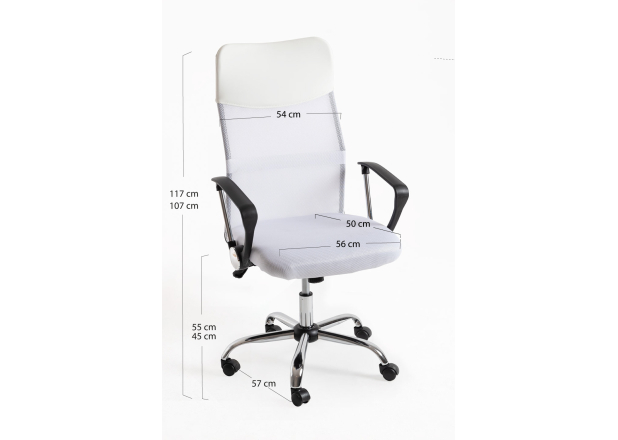 Silla Canvas