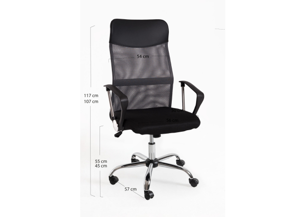 Silla Canvas