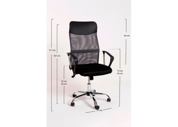 Silla Canvas