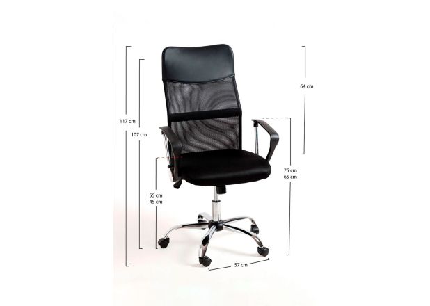 Silla Canvas