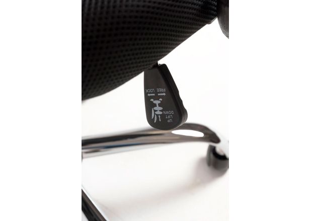 Silla Canvas