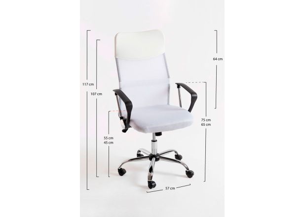 Silla Canvas