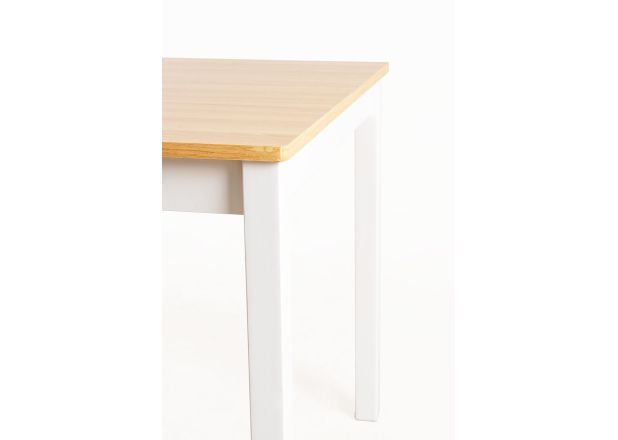 Mesa Jana