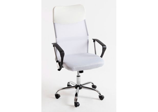 Silla Canvas